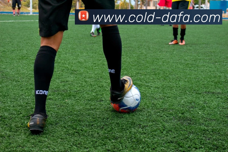 大发彩票平台生态图